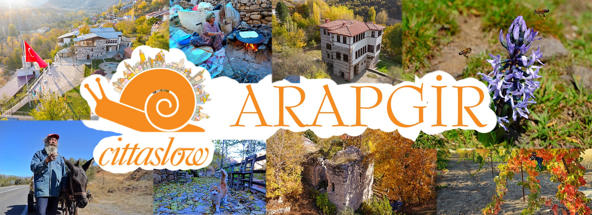 Arapgir Genel Görünüm
